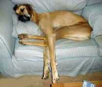 Tired