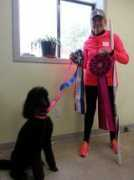 tivinpoodles.com Tivin