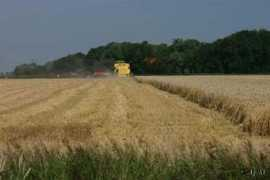 panoramio.com Tjeert