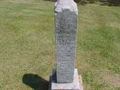 usgwarchives.net Toalston