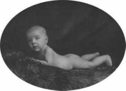 web.utanet.at Toescher