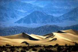 imrreisen.net Tomesha