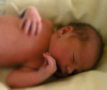 Tommaso