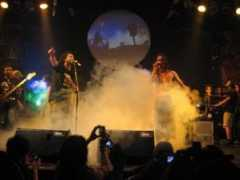 indoreggae.com Tonyq