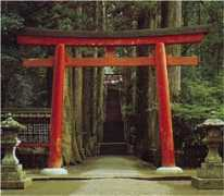 Torii