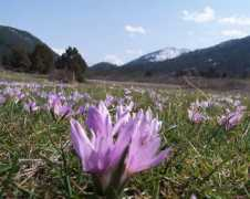 konyalife.com.tr Toroslar