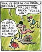 Torudd