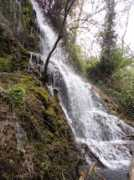 Tosal