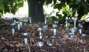 bahai-library.com Tournier