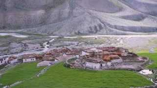 Toyar
