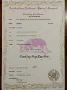 Traking
