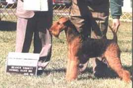 woodcrestkennel.com Traymar