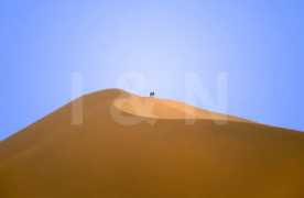 imageandnature.com Trestain