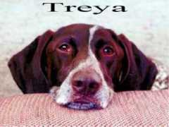 Treya