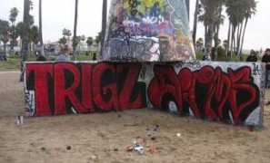 Trigs