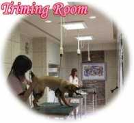 petsm.com Triming