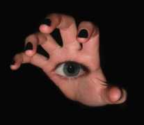 treklens.com Trippaers