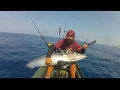 article.wn.com Tripz