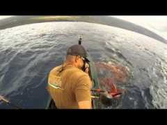 article.wn.com Tripz