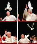 catholic.org.tw Troea