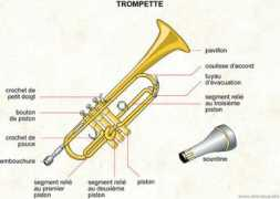 Trompette