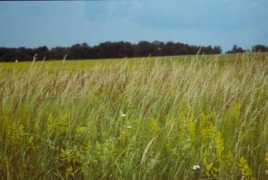 lustwandeln.net Trupl