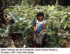 lateinamerika-studien.at Tsakimp