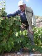 houseofwine.gr Tsasis