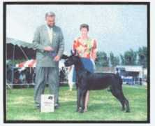 magicmanordanes.com Tshina