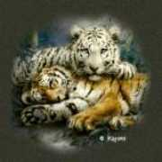 Ttiger