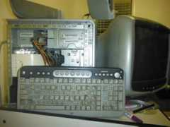 gizmodo.com.au Ttran