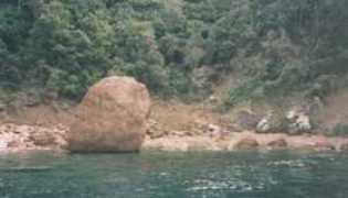 Tuara