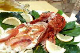 orologi.forumfree.it Tuccino