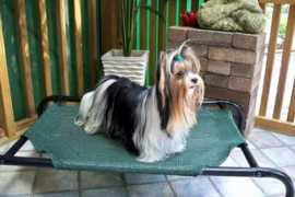 myinsatiablelove.com Tuchek