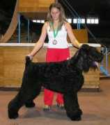 yablonevyi-tsvet.narod.ru Tuchek