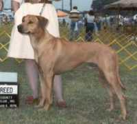 ridgeback.nu Tufani