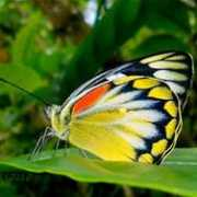 fotoblur.com Tugiono