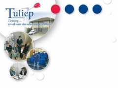 tuliep.be Tuliep