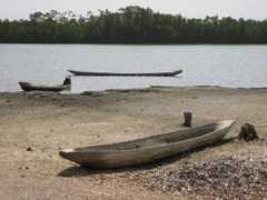 accessgambia.com Tumani
