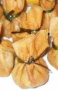 thaihomecooking.com Tungtong