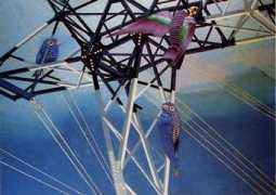 italystar.it Turchiaro