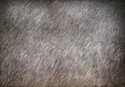 Twombly