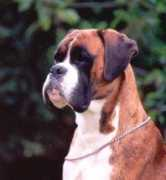 Tyberg