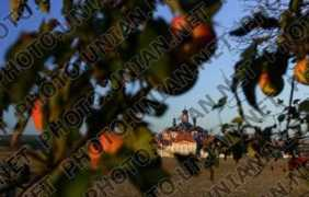 photo.unian.net Tynice