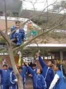 bandaimuse.jp Tyouti