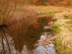 foto.rybieoko.pl Tywa