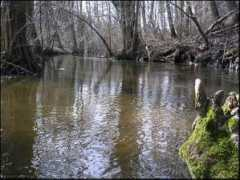 archiwum.rybieoko.pl Tywa