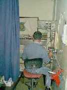 reshafim.org.il Tzippora