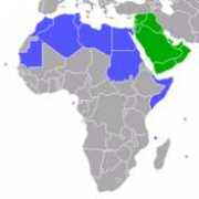 en.wikipedia.org Uafa