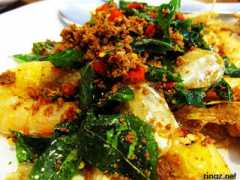 Udang